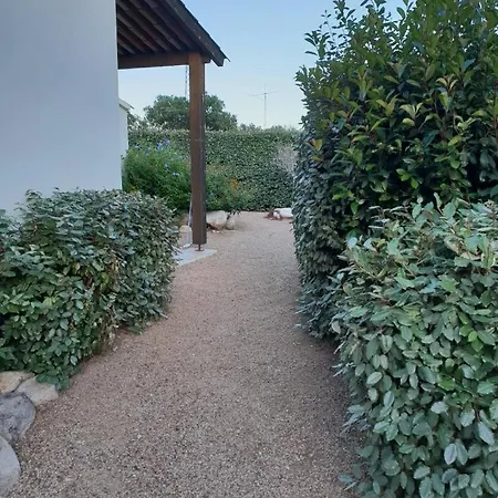 Ferienhaus Dans Petite Avec Piscine A 10 Minutes Des Plages Proche Vecchio