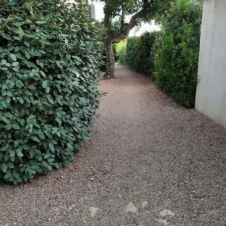 Dans Petite Avec Piscine A 10 Minutes Des Plages Proche Vecchio * Porto-Vecchio (Corsica)