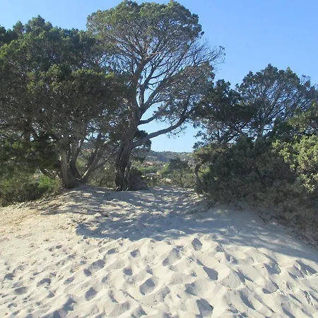 Dans Petite Avec Piscine A 10 Minutes Des Plages Proche Vecchio Ferienhaus Porto-Vecchio (Corsica)