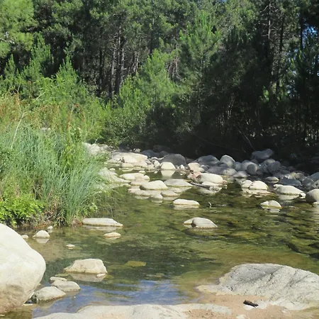 Dans Petite Avec Piscine A 10 Minutes Des Plages Proche Vecchio