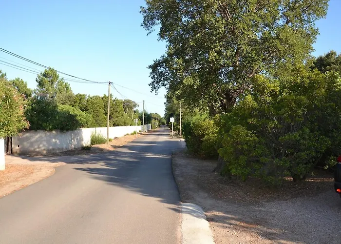 Dans Petite Avec Piscine A 10 Minutes Des Plages Proche Vecchio Vakantiehuis