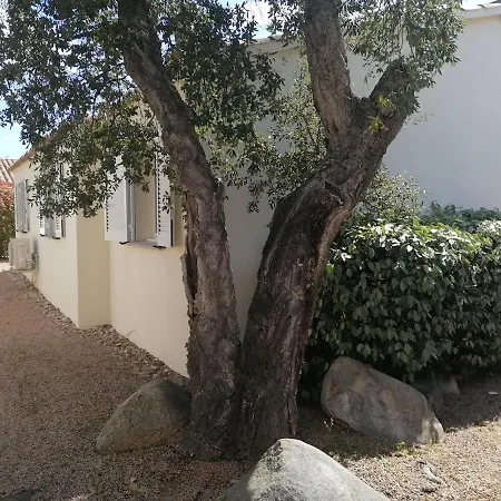 Dans Petite Avec Piscine A 10 Minutes Des Plages Proche Vecchio Porto-Vecchio (Corsica)