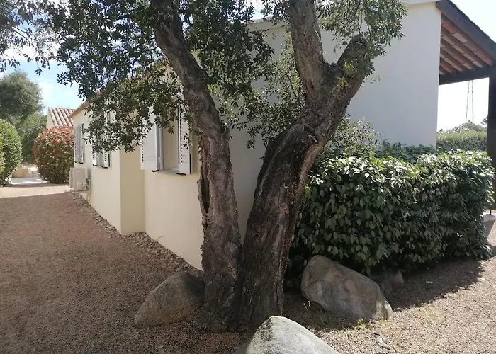 Dans Petite Avec Piscine A 10 Minutes Des Plages Proche Vecchio ポルトヴェッキオ