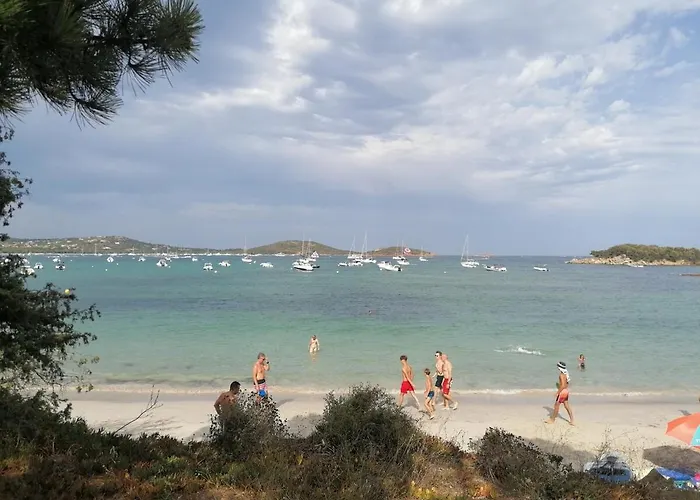 Dans Petite Avec Piscine A 10 Minutes Des Plages Proche Vecchio 別荘
