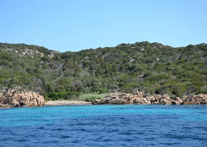別荘 Dans Petite Avec Piscine A 10 Minutes Des Plages Proche Vecchio