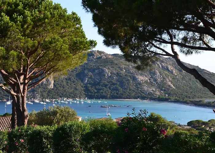 Dans Petite Avec Piscine A 10 Minutes Des Plages Proche Vecchio ポルトヴェッキオ