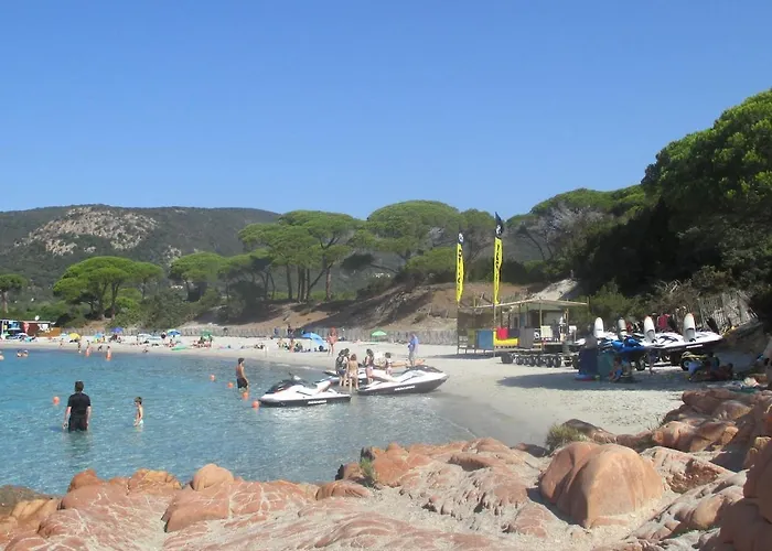 Dans Petite Avec Piscine A 10 Minutes Des Plages Proche Vecchio 別荘