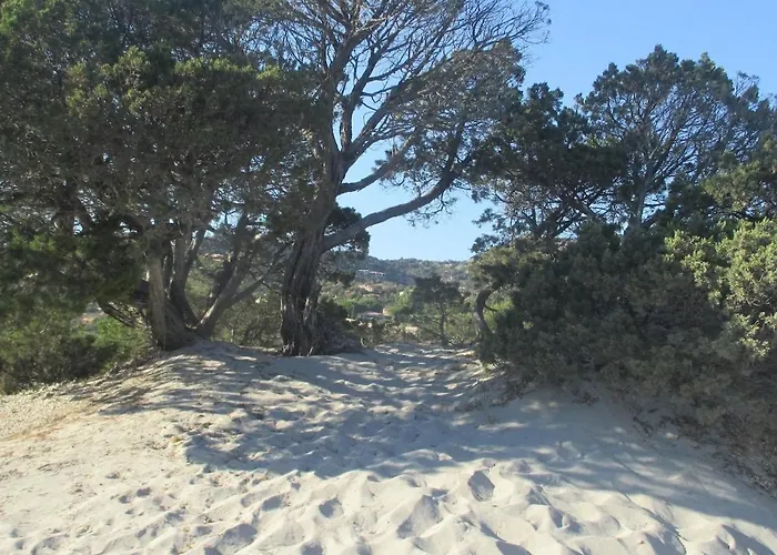 Dans Petite Avec Piscine A 10 Minutes Des Plages Proche Vecchio 別荘 ポルトヴェッキオ